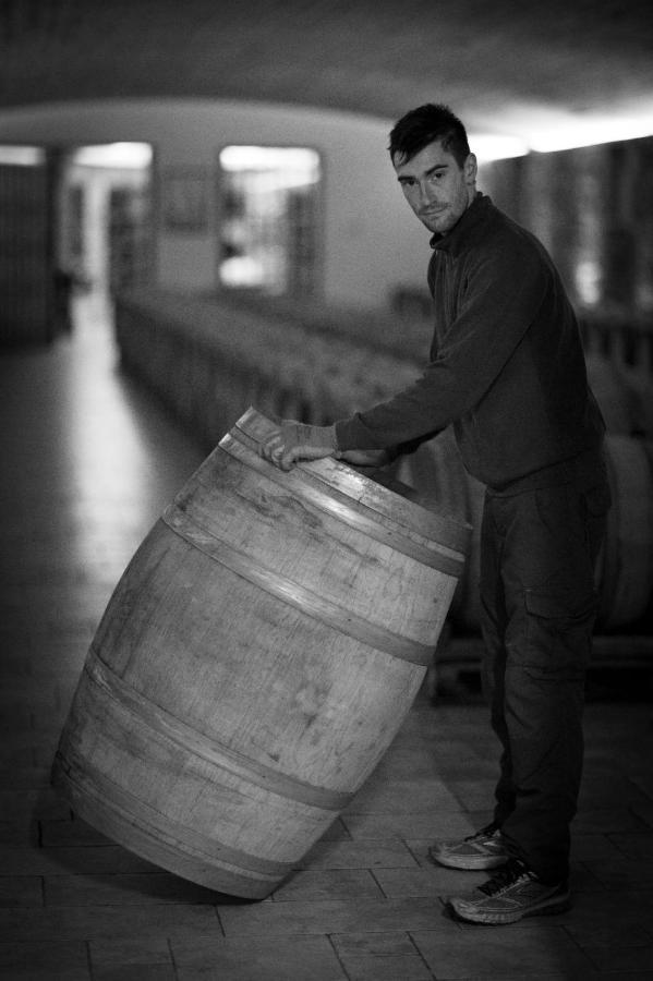 Il Roncal Wine Resort - For Wine Lovers Cividale del Friuli Exteriér fotografie