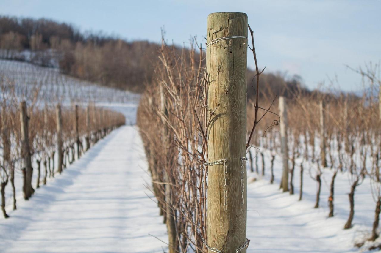 Il Roncal Wine Resort - For Wine Lovers Cividale del Friuli Exteriér fotografie
