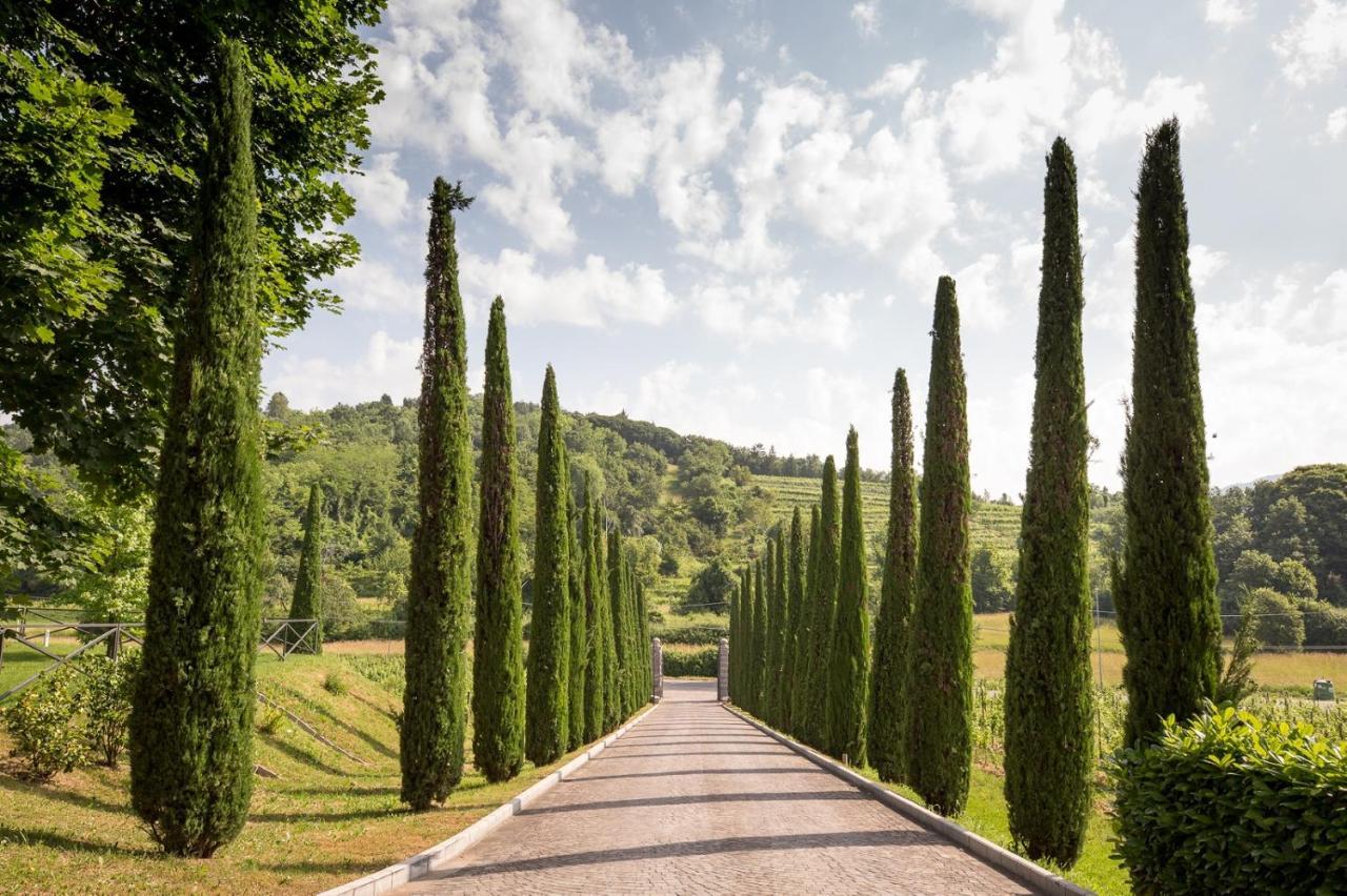 Il Roncal Wine Resort - For Wine Lovers Cividale del Friuli Exteriér fotografie