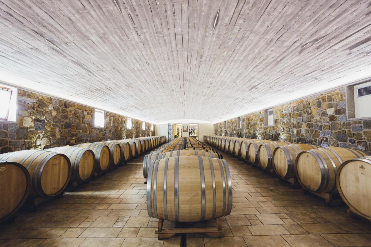 Il Roncal Wine Resort - For Wine Lovers Cividale del Friuli Exteriér fotografie