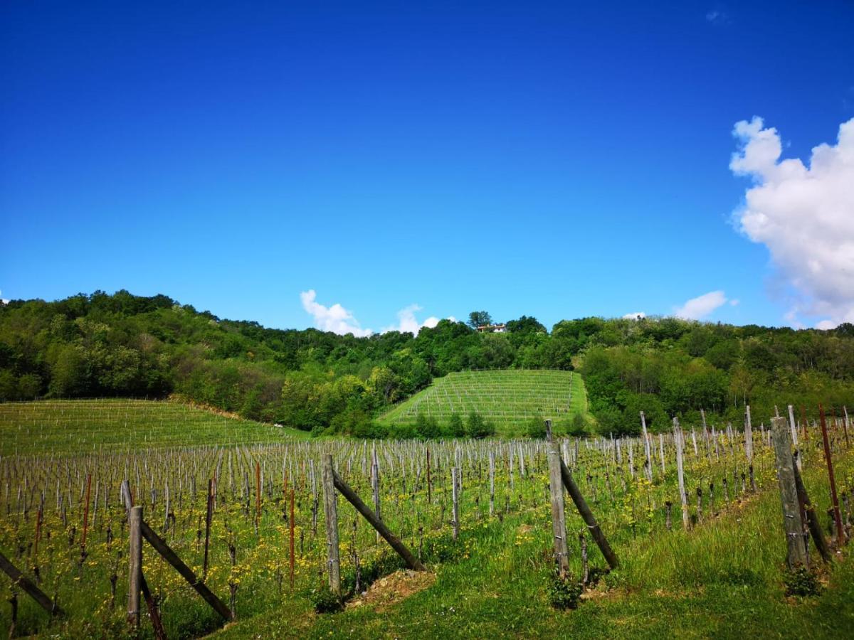 Il Roncal Wine Resort - For Wine Lovers Cividale del Friuli Exteriér fotografie