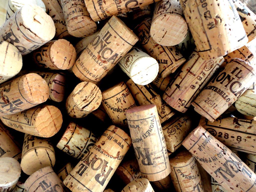 Il Roncal Wine Resort - For Wine Lovers Cividale del Friuli Exteriér fotografie