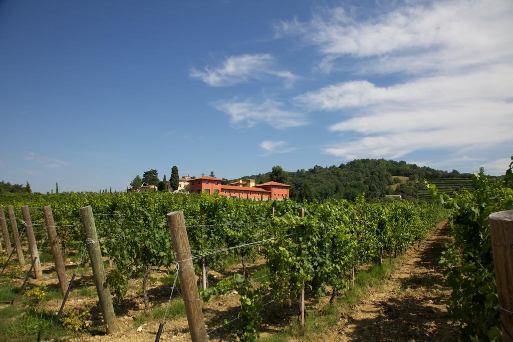 Il Roncal Wine Resort - For Wine Lovers Cividale del Friuli Exteriér fotografie