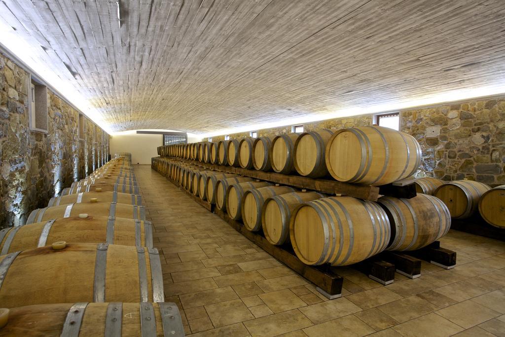 Il Roncal Wine Resort - For Wine Lovers Cividale del Friuli Exteriér fotografie