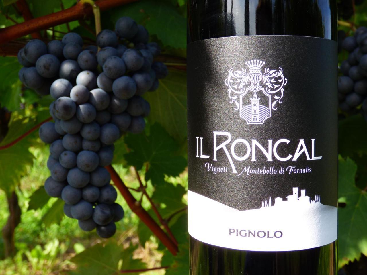 Il Roncal Wine Resort - For Wine Lovers Cividale del Friuli Exteriér fotografie